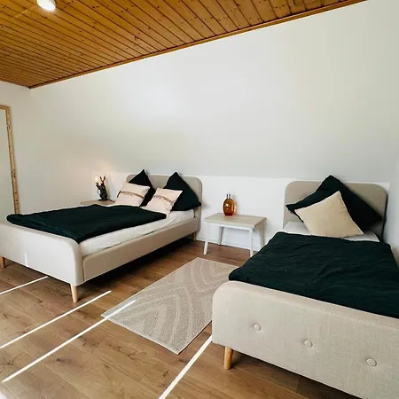 Sehr Gut Ausgestattetes Einfamilienhaus Prázdninový dům Hochspeyer